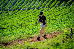 BIB: 
                            <button type="button" onclick="openModal(19162894)" class="btn btn-primary btn-sm float-right btn-popup" data-toggle="modal" data-target=".modal-high-quality">
                        <i class="fas fa-shopping-cart"></i> Add to Cart
                    </button>
                                            <button type="button" onclick="isThisMe(19162894, true)" class="btn btn-success btn-sm float-right btn-popup btn-isme hidden" data-toggle="tooltip" data-placement="bottom" title="นี่คือรูปของคุณใช่ไหม คลิกที่นี่เพื่อเอาเข้าอัลบั้ม">
                        <i class="fas fa-plus"></i> Add to album
                    </button>
                    <button type="button" onclick="isThisMe(19162894, false)" class="btn btn-warning btn-sm float-right btn-popup btn-isnotme hidden">
                        <i class="fas fa-ban"></i> Remove from album
                    </button>